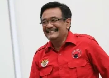 Ketua DPP PDI Perjuangan Djarot Saiful Hidayat.(Istimewa)