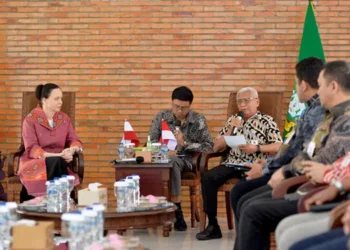 Foto: Wagub Sumut Terima Kunjungan Dubes Polandia 4