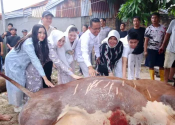 Foto: Wakil Walikota Medan Serahkan 4 Hewan Kurban 7