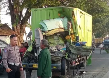 Foto: Tabrak Truk Tronton, Kernet Mobil Box Cedera Serius 1