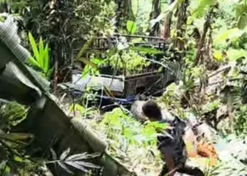 Foto: Mobil L300 Dilaporkan Jatuh ke Jurang di Sibolangit 7
