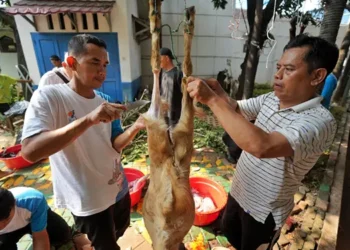 Perayaan Idul Adha 1446 H, PGN Group memotong total 955 ekor hewan kurban yang terdiri dari  121 ekor sapi dan 834 ekor kambing.(Dok:PGN)
