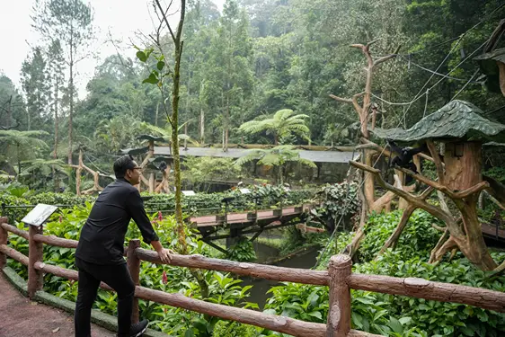 Foto: Wali Kota Medan Rico Waas melakukan studi tiru ke Taman Safari Indonesia, Bogor, Jumat (30/5/2025).(Dok:Diskominfo Medan)