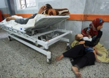Salah satu warga Palestina terluka ditembak pasukan Israel di dekat pusat distribusi bantuan di Gaza tengah, terbaring di rumah sakit Al-Shifa, di Kota Gaza, 11 Juni 2025. (Foto:REUTERS)