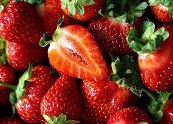 Foto: Catat! Berikut Daftar Buah yang Dapat Membantu Menjaga Kesehatan Ginjal 2