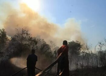 Foto: Kabut Kebakaran Hutan dan Lahan Gambut Pulau Sumatra Menyebar hingga Malaysia 7