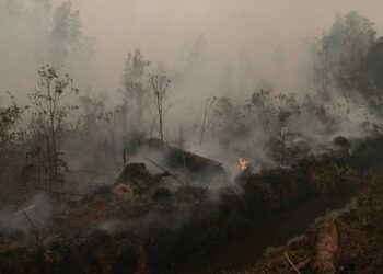 Foto: Kawasan Hutan Lindung di Nagori, Simalungun Terbakar 4