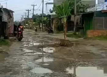 Foto: Warga Desa Pelawi Selatan Tanam Pohon Pisang di Tengah Jalan 1