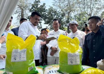 Foto: Stabilkan Harga, Pemprov Sumut dan BULOG Gelar Gerakan Pangan Murah 4