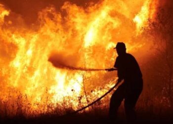 Foto: ​15 Hektare Hutan di Aceh Selatan Hangus, Petugas Kesulitan Padamkan Api 9