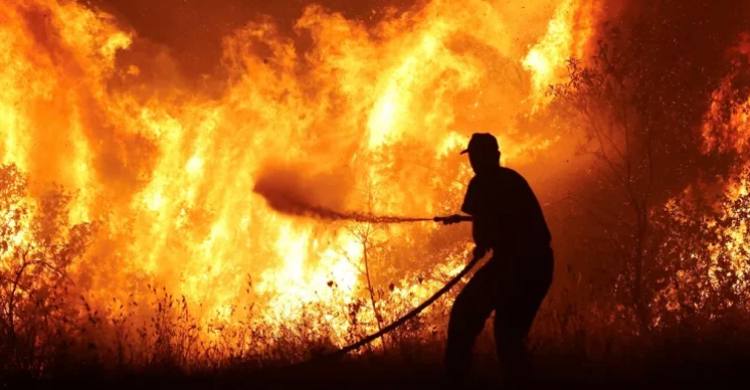 Foto: Ilustrasi kebakaran hutan dan lahan (karhutla). (Foto: Istimewa)