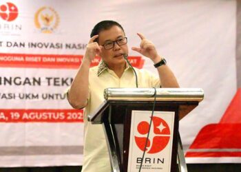 Foto: Pajak dan Pungutan di Daerah Kunci Pengembangan UMKM, Sofyan Tan Desak BRIN Lakukan Riset 10