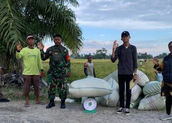 Perum Bulog Kantor Cabang Asahan menjamin akan membeli gabah kering panen (GKP) dari petani di tiga wilayah dengan harga Rp 6.500 per kilogram.(Dok:Bulog Sumut)