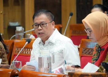 Anggota Komisi X DPR RI dari Fraksi PDI Perjuangan, Sofyan Tan.(Ist)