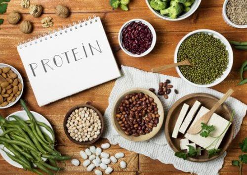 Foto: Ilustrasi makanan berprotein (Foto.Istimewa)