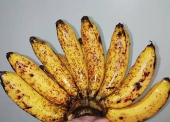 Foto: Pisang: Waktu Tepat untuk Menjaga Kesehatan Jantung Anda 6