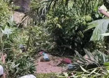 Foto: Pick Up L300 Terjun ke Sungai Lae Renun di Dairi, Sopir dan Kernet Selamat 7