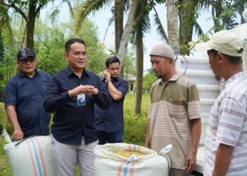 Perum BULOG Kantor Wilayah Sumatera Utara melakukan penyerapan Gabah Kering Panen (GKP) di Desa Karang Rejo, Kabupaten Langkat, Selasa (23/09/2025).(Dok:Bulog Sumut)