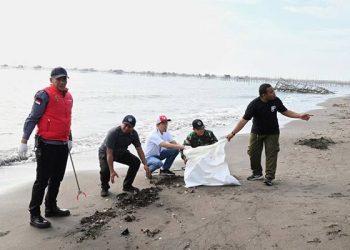 PT PGN bersama Kementerian Lingkungan Hidup berhasil mengangkat sebanyak 1,1 ton sampah plastik  dari Pantai Tanjung Pasir, Tangerang, Banten dalam aksi bersih pantai.(Dok:PGN)