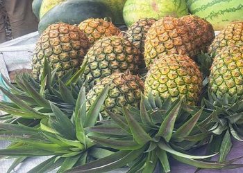 Foto: Bolehkah Makan Nanas Setiap Hari? Ini Manfaat dan Batas Amannya 3