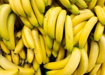 Foto: 6 Buah Penurun Tekanan Darah Tinggi: Kunci Cegah Risiko Penyakit Ginjal 2