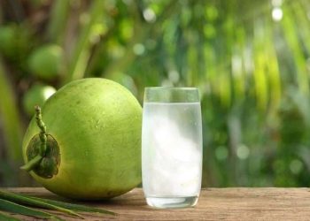 Foto: 7 Kelompok Orang yang Dianjurkan Rutin Minum Air Kelapa, Bukan Sekadar Pelepas Dahaga 5