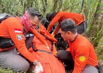 Foto: Pendaki Gate (40) Ditemukan Tewas Dekat Puncak Gunung Gawalise 8