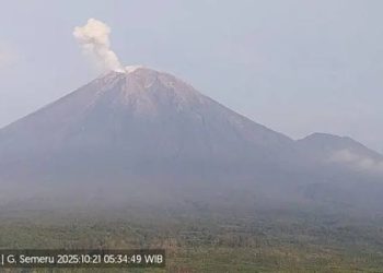 Foto: Gunung Semeru Erupsi Enam Kali Pagi Ini, Kolom Letusan Capai 700 Meter 9