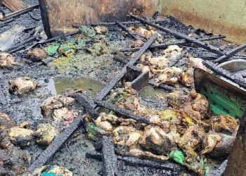 Salah satu usaha pemotongan ayam di Kota Pematangsiantar hangus terbakar pada Rabu (8/10/2025).(Istimewa)