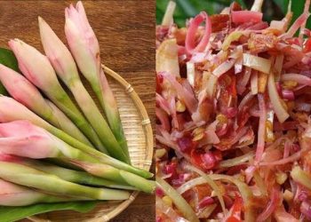Foto: 7 Khasiat Kecombrang (Etlingera elatior): Antikanker hingga Kontrol Asam Urat 4