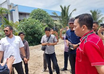Foto: DPRD Tuding Wali Kota Medan Biarkan Penimbunan Hutan Mangrove di Sicanang Belawan 5