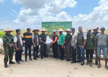 Foto: Beli 20 Ton Gabah, Petani Batu Bara Merasa Tenang, Tidak Khawatir Tengkulak 5