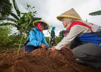 Melalui berbagai program terarah dan tepat sasaran, PGN secara aktif merangkul masyarakat dan mitra, sehingga terjalin hubungan yang harmonis antara perusahaan dengan lingkungan sekitar.(Dok:PGN)