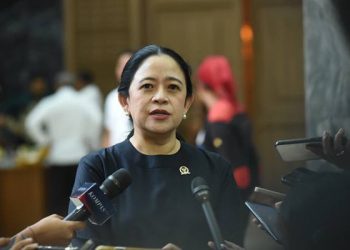 Foto: Influenza A Melonjak, Puan Maharani Ingatkan Pemerintah Perkuat Faskes 10