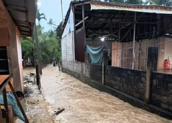 Foto: Korban Jiwa Banjir-Longsor Sumut-Aceh Capai 442 7