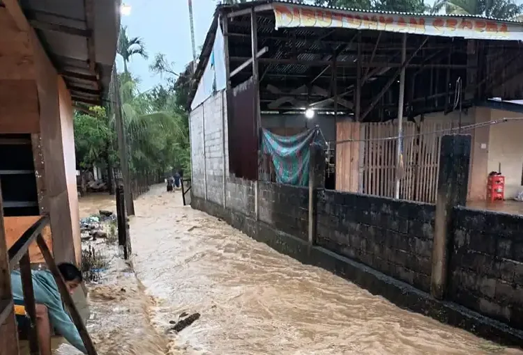 Foto: Kondisi banjir di Kabupaten Aceh Selatan, Provinsi Aceh, Kamis (28/11). (Foto BPBD Kabupaten Aceh Selatan)