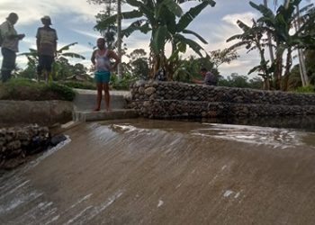 FOTO: Bendungan Irigasi Garoga yang Telah Direhabilitasi (Air mengalir).  CAPTION:  Mengukir Asa di Arus Batangtoru: Transformasi Rupa dan Budaya Lokal. Inilah bendungan irigasi Sungai Garoga yang telah selesai direhabilitasi melalui Program PPM PTAR. Proyek vital ini menjadi simbol sinergi kearifan lokal Dalihan Natolu dengan program korporasi, mengamankan ketahanan pangan ratusan hektar sawah.(Ist)
