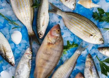 Foto: 7 Ciri Ikan Tak Layak Konsumsi, Jangan Sampai Salah! 10