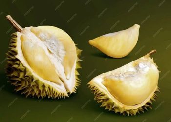 Foto: Jangan Makan Durian dengan Ini! Efeknya Bahaya 2