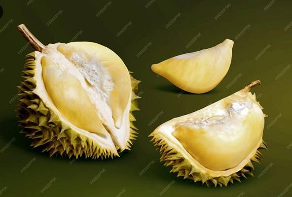 Foto: ilustrasi buah durian (Foto:Freepik)