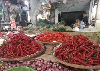 Foto: Harga Pangan Sumut Naik, Ini Penyebab Menurut Pengamat 3