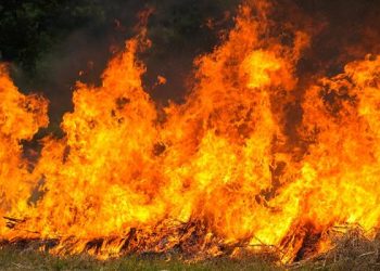 Foto: Korban Tewas Kebakaran Gudang Parfum Turki Bertambah, Penyebab Masih Diselidiki 2