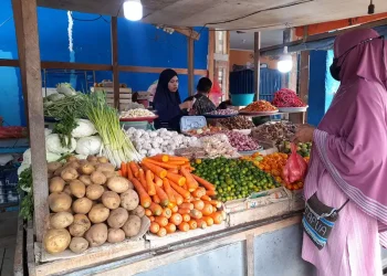 Foto: Kebutuhan Pokok di Sumut Alami Kenaikan Signifikan 8