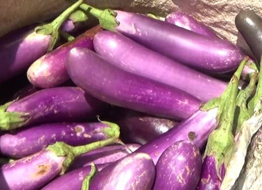 7 Kelompok Orang yang Sebaiknya Hindari Konsumsi Terong, Waspada Efeknya! 1 Sayur terong tidak selalu aman dikonsumsi oleh semua kalangan.(Istimewa)