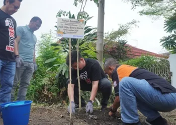 Foto: Indako Wujudkan Sinergi Bagi Negeri Lewat Penanaman 2.025 Pohon di Teladan Barat 10