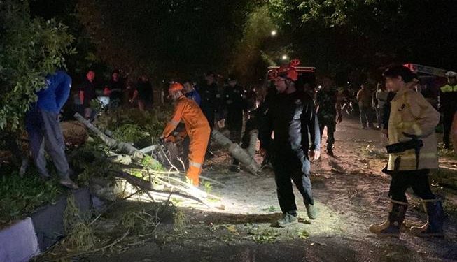 Pohon Angsana Tumbang Timpa Warga di Jalan Bandara SIM Aceh Besar 1 Insiden pohon tumbang terjadi di Jalan Bandara SIM, Gampong Ajee Cut, Kecamatan Ingin Jaya, Aceh Besar pada Sabtu malam, 8 November 2025.(Foto: BPBD Aceh Besar)