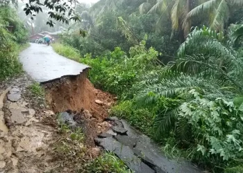Foto: Akses Putus: Warga Lumut Tapteng Mengungsi 4