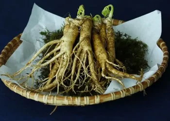 Foto: Pilihan Herbal Pendamping Gula Darah Stabil 6