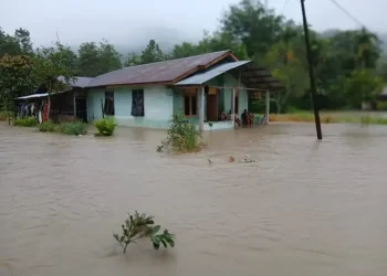 Foto: 995 Tewas Banjir-Longsor Aceh, Sumut, Sumbar 4
