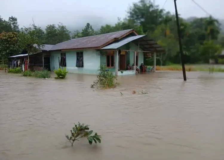 Foto: Korban jiwa akibat bencana banjir dan tanah longsor yang melanda Aceh, Sumatra Utara, dan Sumatra Barat hampir mencapai 1.000 orang
(BPBD Taput)